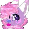 hazel_the_lynx