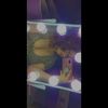 _anitaa._06