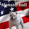 americanmonsterbull