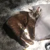 lua._.02