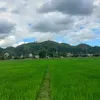 canhtran009