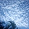 cloud6419