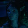 stsgfication