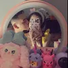 ty_dii.06