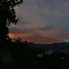zol_dan