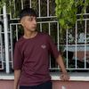 sarix_33_