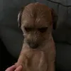 yourmumsdivacup