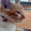 najwaa_073