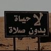zf_j