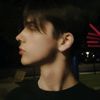 loic_westimpala