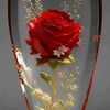user3901325616
