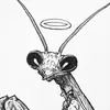 bugteeethz