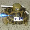 t34turtle