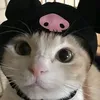 bibcore