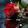 asabihatun_47