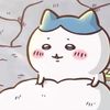 dodoktwt