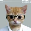 riki_musso41