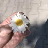 canibeforreall