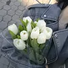 veve_blake