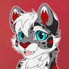 snowbythesnep