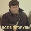 pashok801