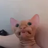 jamestarr69