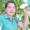 xanhphung526