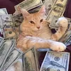 .vbichhngoc