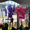 perihanmujdat123098