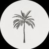 aabbo1424