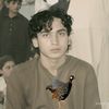 mehmoodlala6