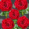 user042767634