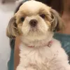 bibigeeeerl