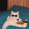 dat_sexy_cat