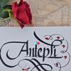 anteplii271