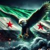 user4118204181145