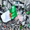 hamelimad23