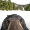 chase_poochnik