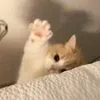 sandra_valle0