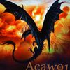 acaw911