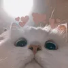 whruluv_