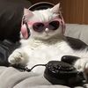iddispiddis