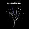 gece_muzigim0