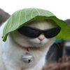 amyriliz_is_awesome