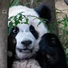 huongdoris86