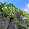 nguyenvantan.05071995gma