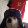 comrade_.doggo