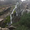 areej.7860
