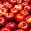 ton_of_apples