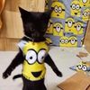 testaccount_v101